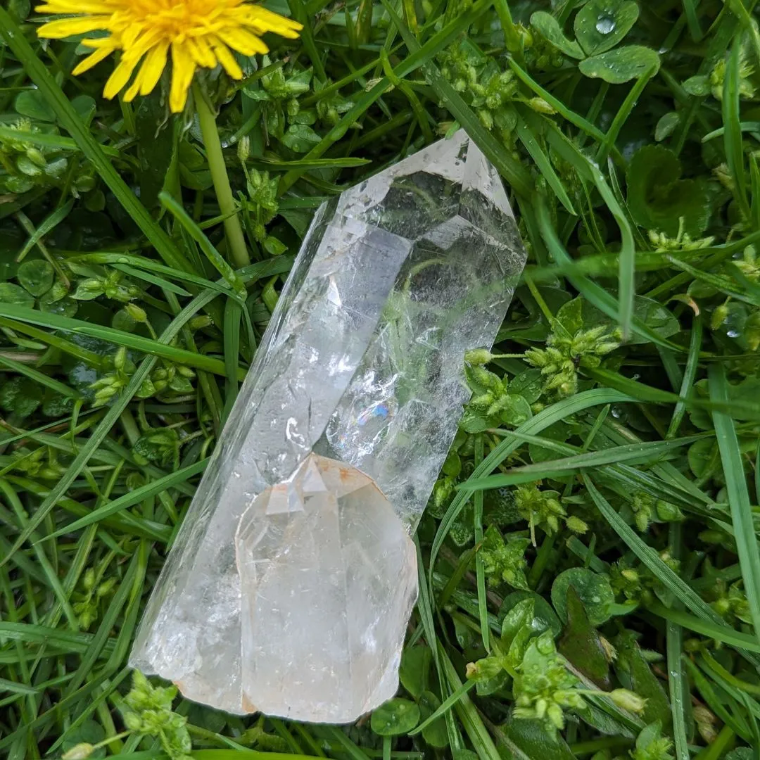 Gorgeous Lemurian Seed Clear Quartz Natural Point from Brazil ~ Program and Amplify Energy